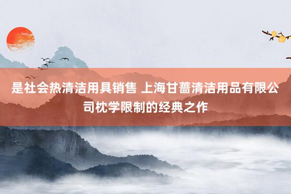 是社会热清洁用具销售 上海甘蔷清洁用品有限公司枕学限制的经典之作
